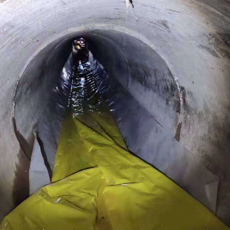 樟树管道光固化修复