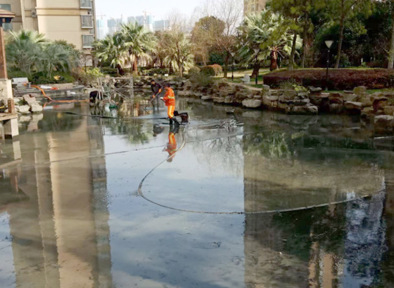 樟树景观池淤泥清理