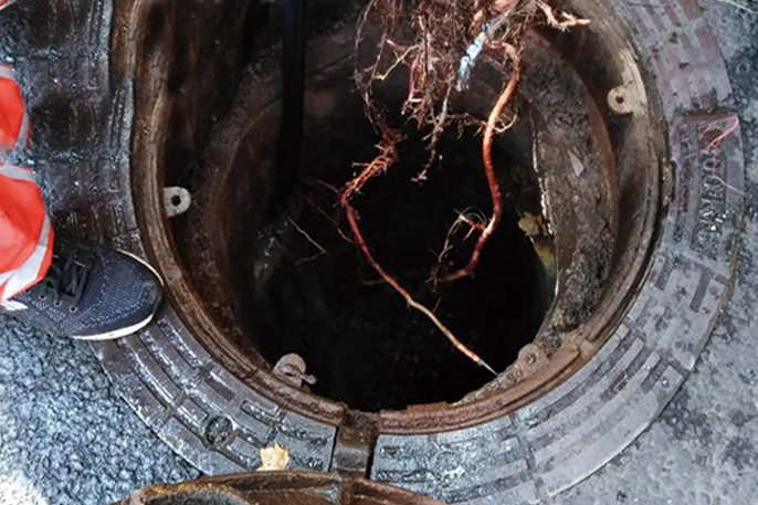 樟树管道预处理